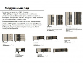 Гостиная Отис Дуб Крафт Серый/Антрацит в Чернушке - chernushka.magazinmebel.ru | фото - изображение 5